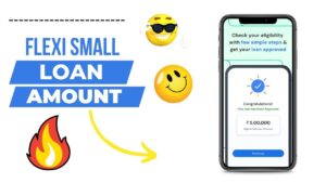 How much loan can one get with Flexi Small Business Loan App?